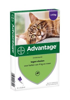 Wiskunde Collectief Absoluut Advantage kat 80 | Bestrijdt vlooien effectief | Scherp geprijsd - DocVet  voor Hond & Kat