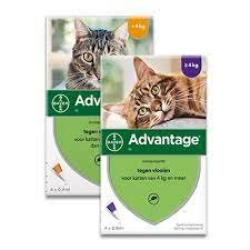 Metropolitan site voordelig Advantage Bayer | Bestrijdt vlooien en teken bij hond & kat! - DocVet voor  Hond & Kat